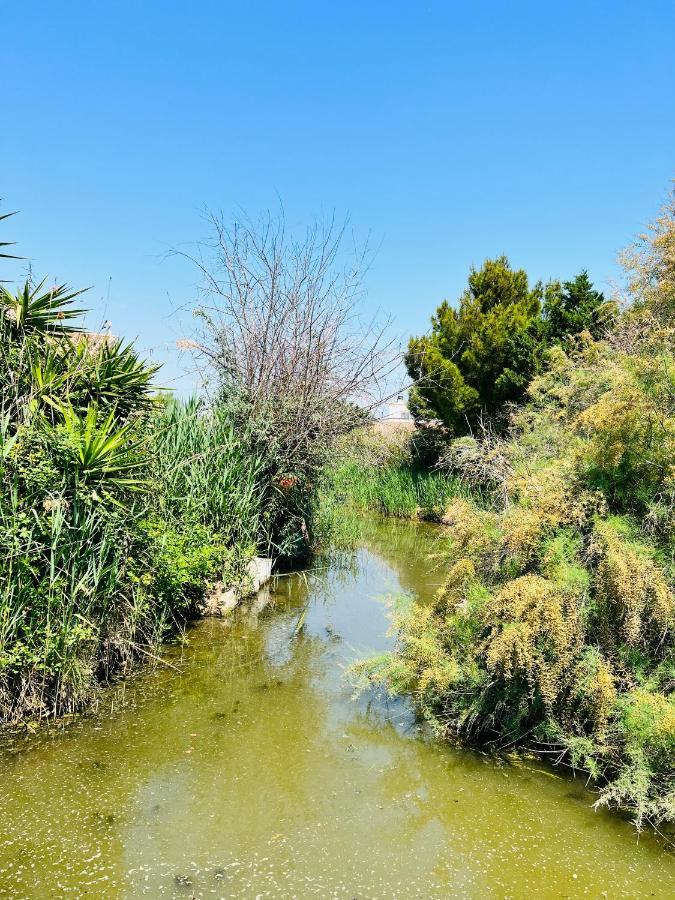 Cabane Le Flamant Avec Jardin, Piscine Et Parking Saintes-Maries-de-la-Mer Exterior photo