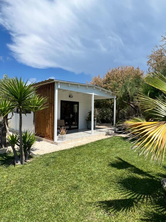 Cabane Le Flamant Avec Jardin, Piscine Et Parking Saintes-Maries-de-la-Mer Exterior photo