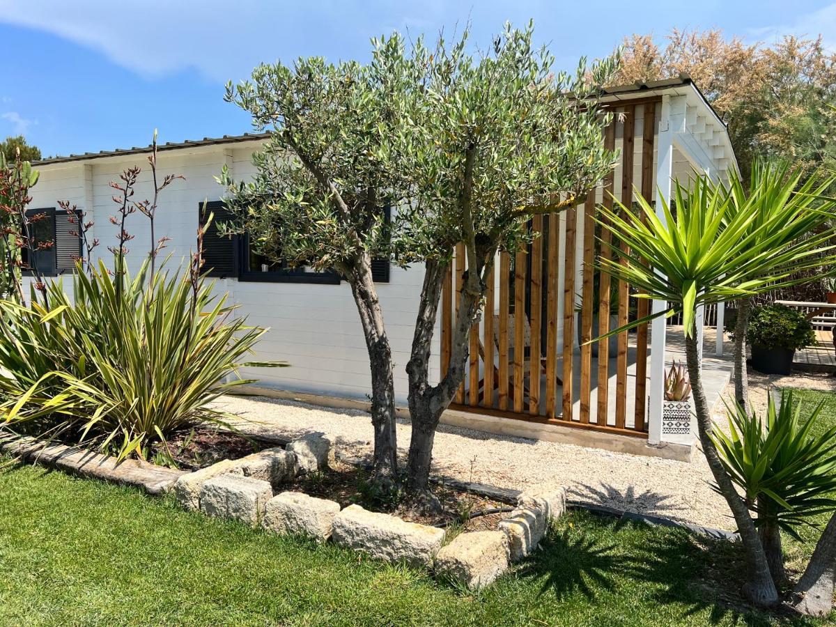 Cabane Le Flamant Avec Jardin, Piscine Et Parking Saintes-Maries-de-la-Mer Exterior photo